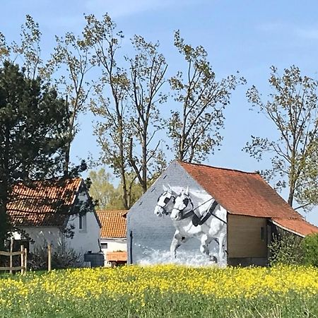 La Ferme Wessiere Guest House Oye-Plage ภายนอก รูปภาพ