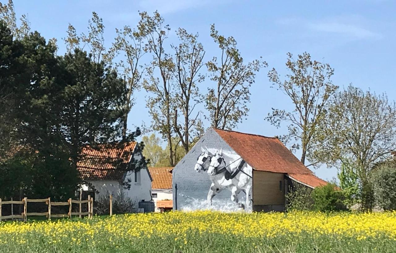 La Ferme Wessiere Guest House Oye-Plage ภายนอก รูปภาพ