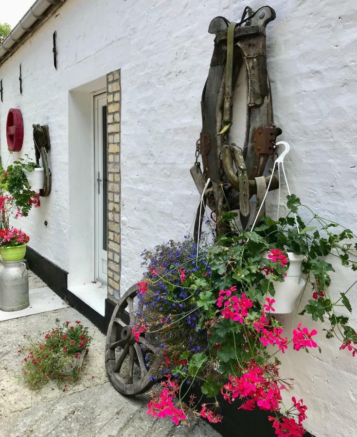La Ferme Wessiere Guest House Oye-Plage ภายนอก รูปภาพ